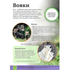 Дитяча енциклопедія хижаків