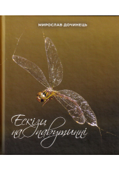 Ескізи на павутинні