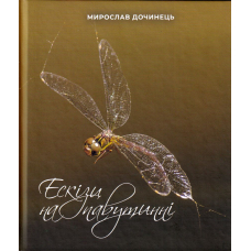 Ескізи на павутинні