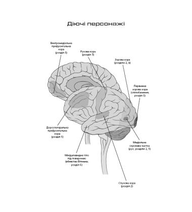 Інкогніто. Таємне життя мозку