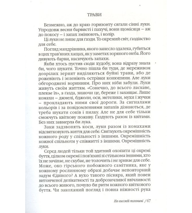 На високій полонині