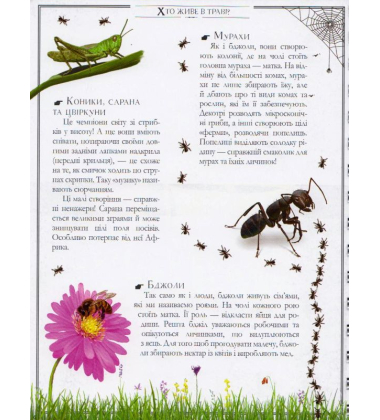 Boys’ Book. Підручник відважного мандрівника