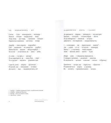 Маратонський біг