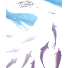 Казки