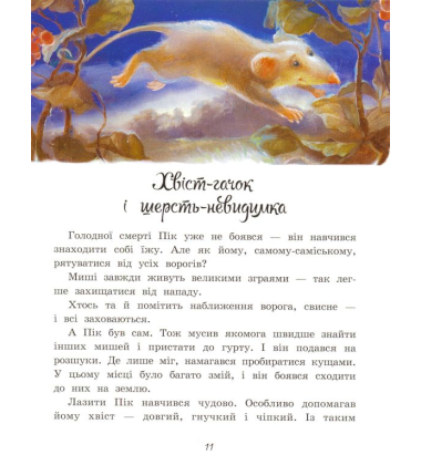 Мишеня Пік