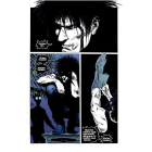 The Sandman. Пісочний чоловік. Том 2. Ляльковий дім