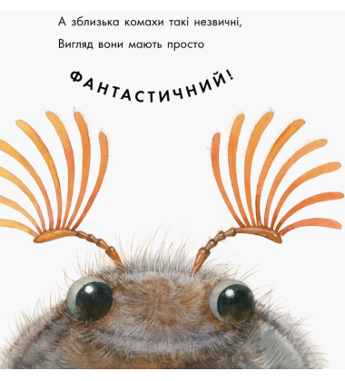 В гостях у природи. Знайомі комахи