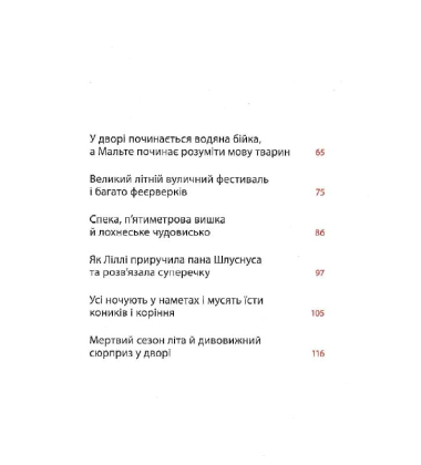 Літо на Бузиновій вулиці