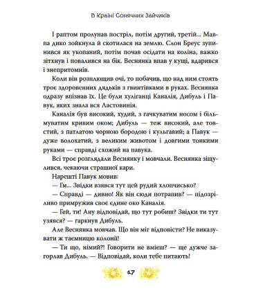 В країні Сонячних Зайчиків