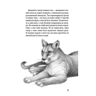 Діти лісу. Книга 3. Таємниця Голлі