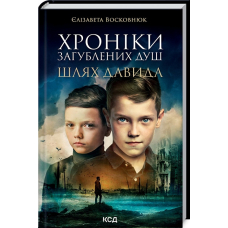 Хроніки загублених душ. Шлях Давида