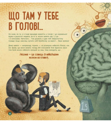 Як працює людський мозок