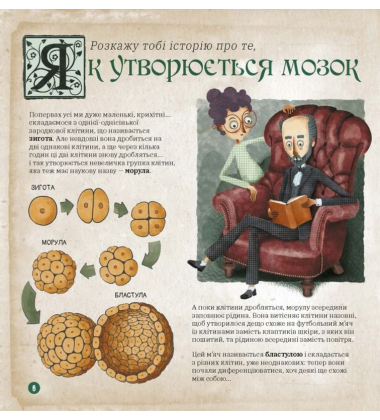 Як працює людський мозок