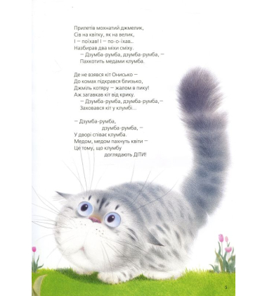 Сонячна юшка