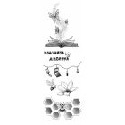Моя класнюча дівчинка