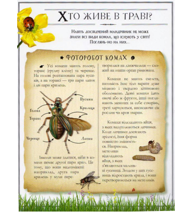 Boys’ Book. Підручник відважного мандрівника