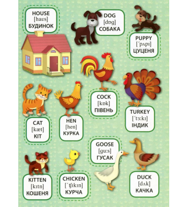 Свійські тварини. Domestic Animals. Перші слова
