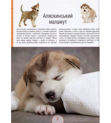 Малята - звірята