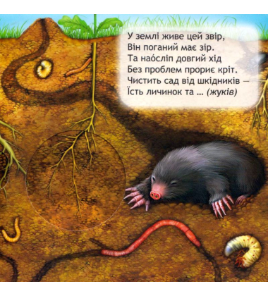 Що у кого на обід?