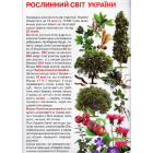 Велика книжка маленького українця