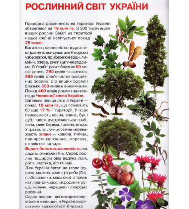 Велика книжка маленького українця