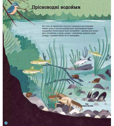 Як допомогти їжачкові та захистити полярного ведмедя