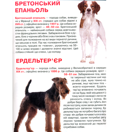 Велика книжка. Мисливські собаки