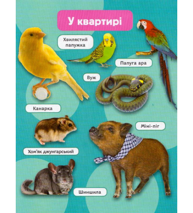 Домашні тварини