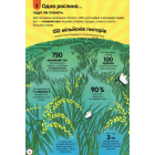 100 фактів про їжу