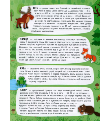 Таємничий ліс. Панорамка-енциклопедія