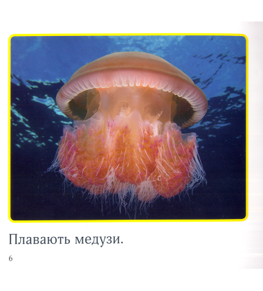 Океан