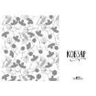 Кобзар