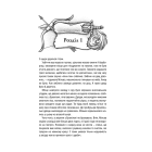 Відьмак. Хрещення вогнем. Книга 5