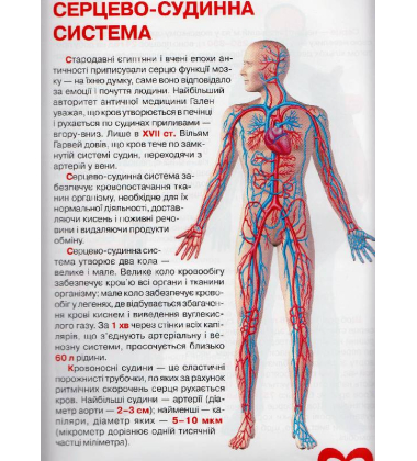 Велика книжка. Анатомія людини