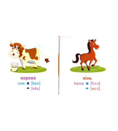 Тварини. Animals