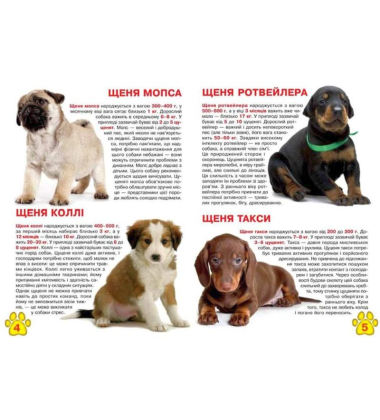 Велика книжка. Цуценята