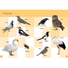 Перша книга малюка
