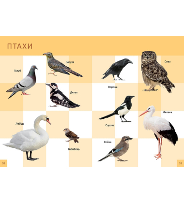 Перша книга малюка