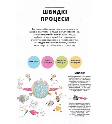 Тіло людини зсередини