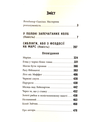 Розвилка