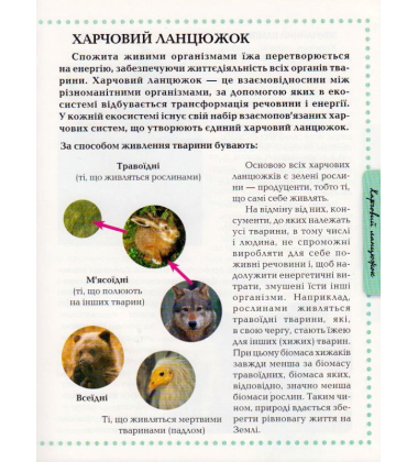 Тварини