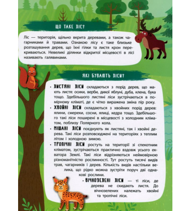 Таємничий ліс. Панорамка-енциклопедія