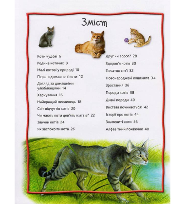 100 фактів про котів і кошенят