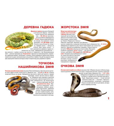 Велика книжка. Отруйні змії