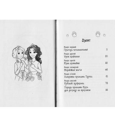 Сюрприз для кролика. Казкова повість. Книжка 8