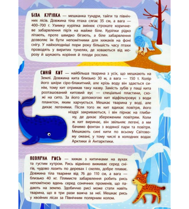 Арктика й Антарктика. Панорамка-енциклопедія
