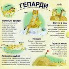 Хто ховається між листям й у воді?