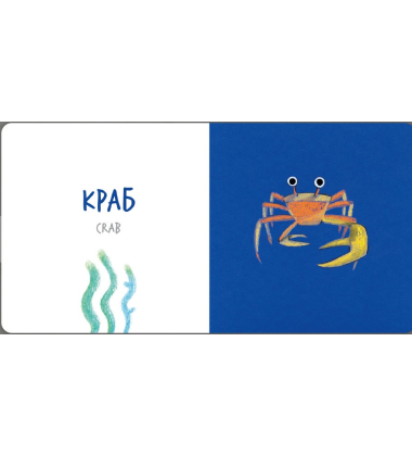 Морські тварини
