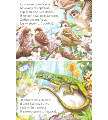 Відгадайко