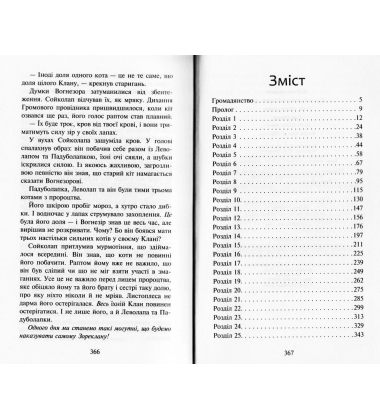 Коти-вояки. Сила трьох. Прозір. Книга 1